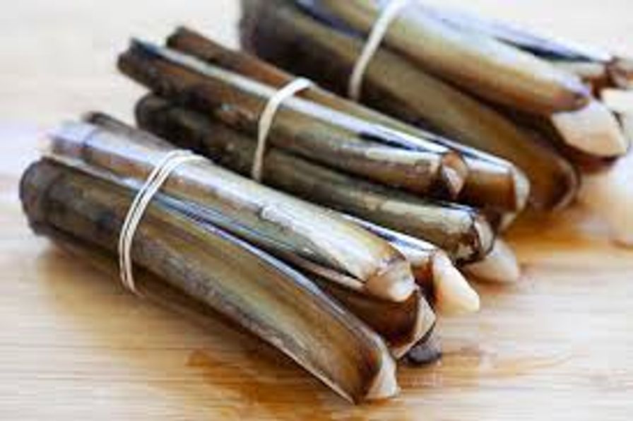 Razor Clams