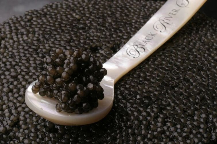 Caviar, Hackleback/Paddlefish (Black Sturgeon)