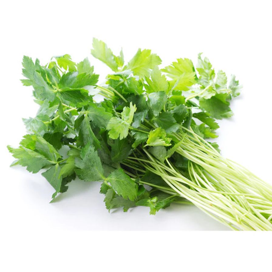 Parsley - Japanese Mitsuba (≈30gm) 