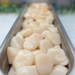 Sea Scallops 10/20ct