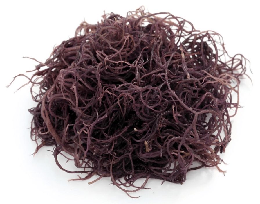 Limu/Ogo Seaweed (Mermaids Hair)