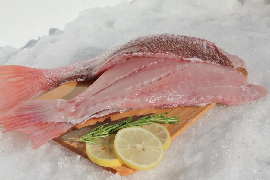 American Red Snapper Fillet