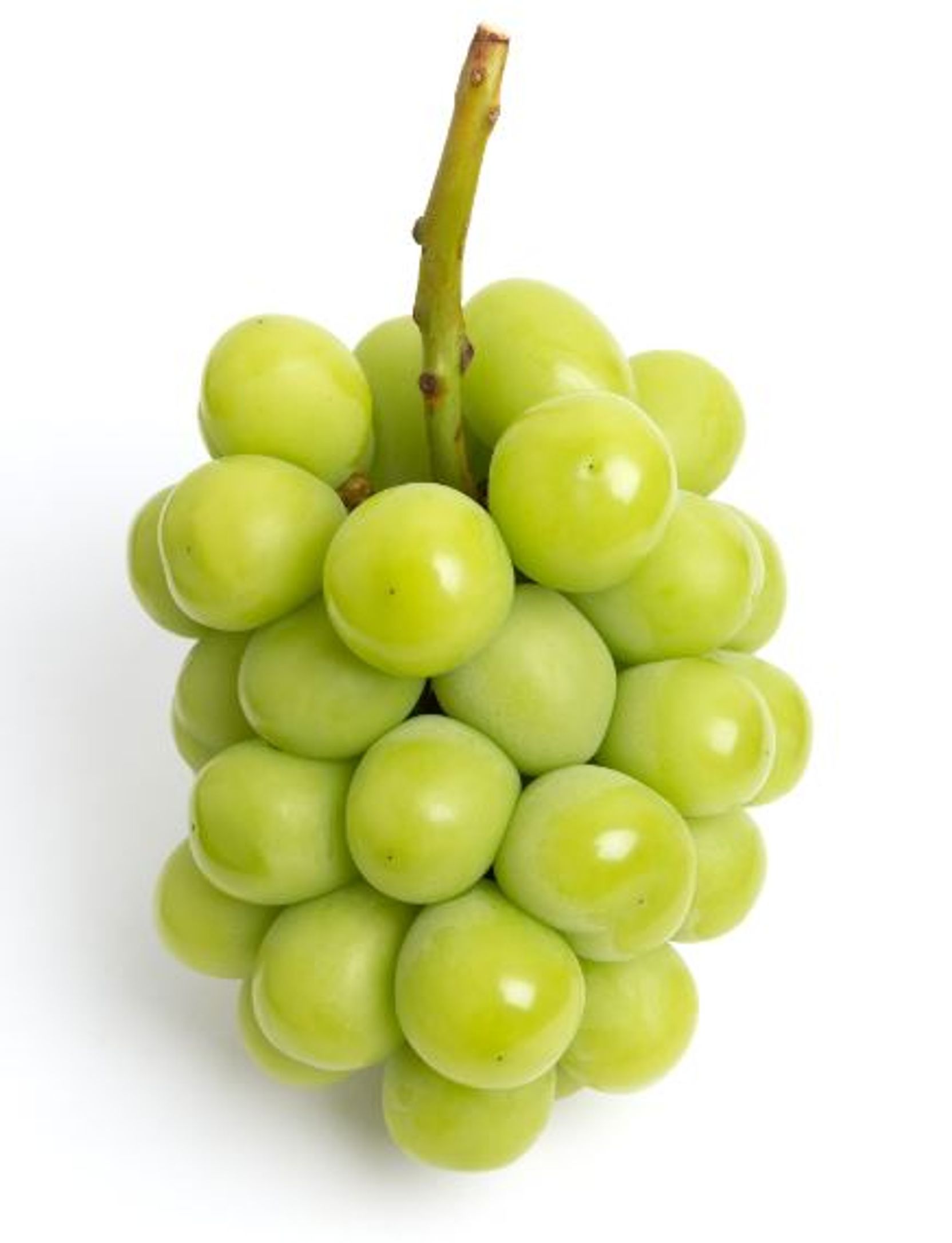 ジャン・メッツァンジェ、「NATURE MOETE AUX FRUITS」 ジャン・メッツァンジェ、「NATURE MOETE AUX FRUITS」