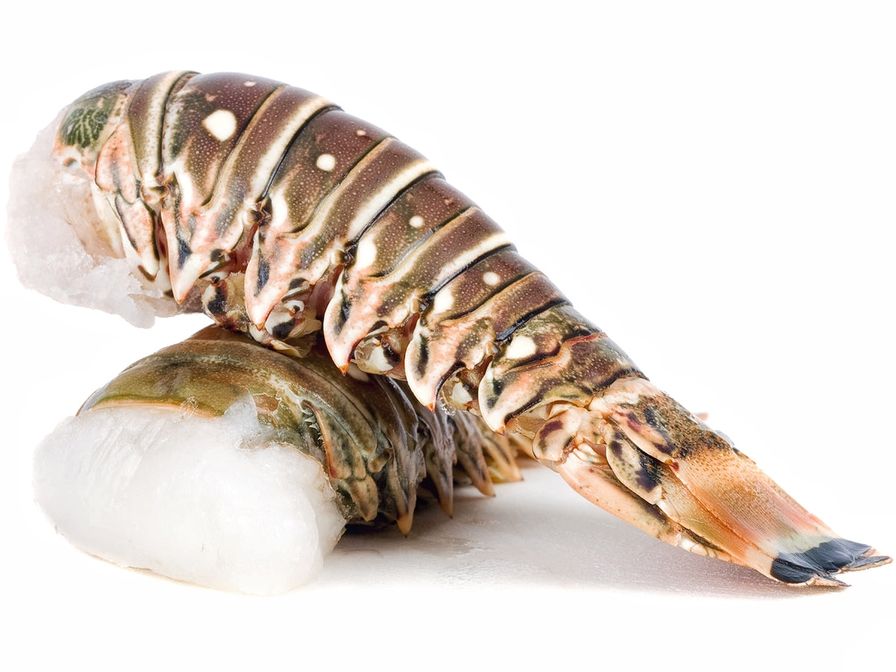 Caribbean Rock Lobster Tails - Hardshell - 8oz - FROZEN - 10LB MASTER CASE - copy