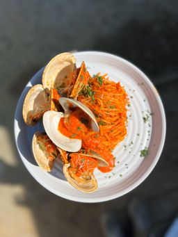 Chowder Clams