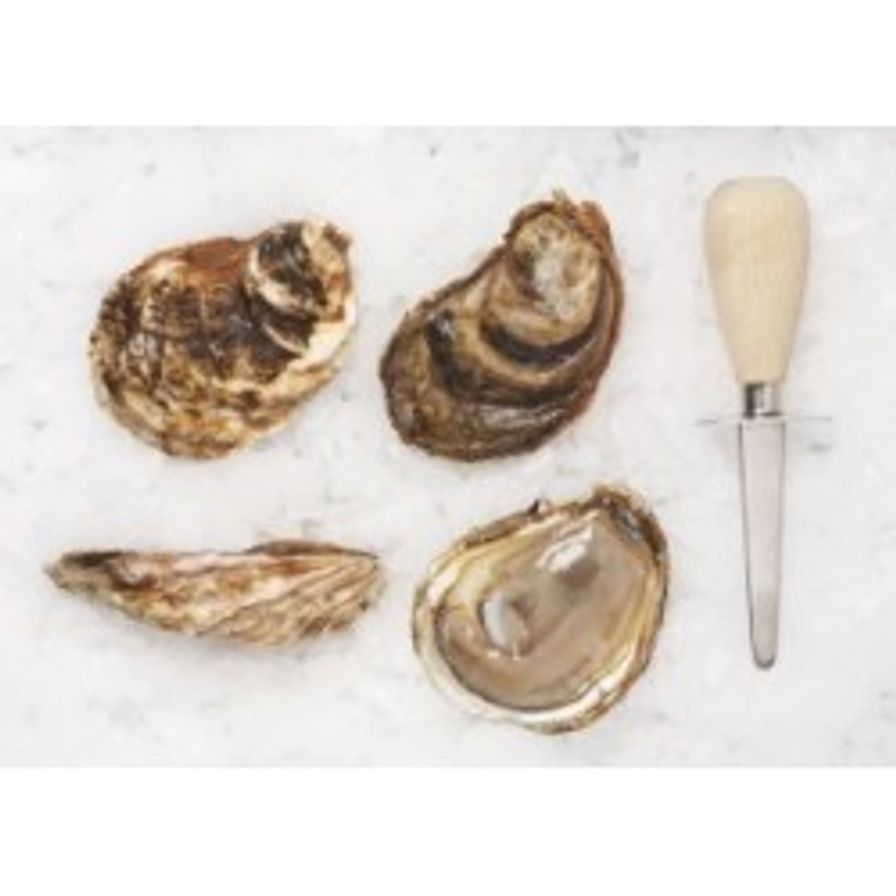 Oysters - East Coast Medium (6 Pcs)