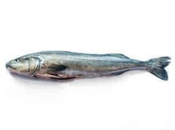 Cod - B.C. Black Cod Farm Fresh Whole Head On (4-6 lbs)