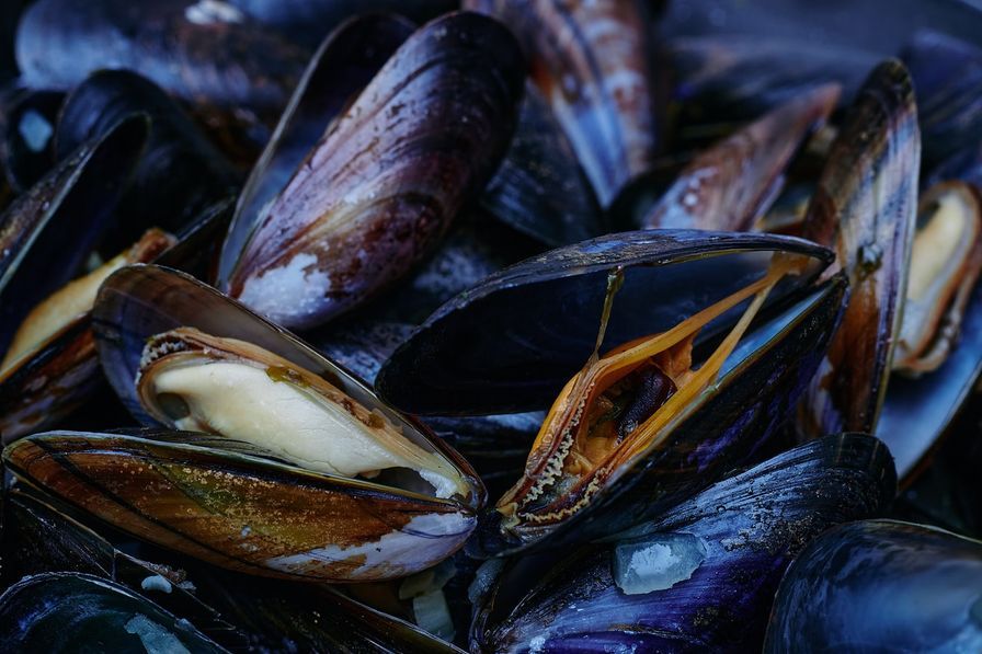 Mussels Saltspring