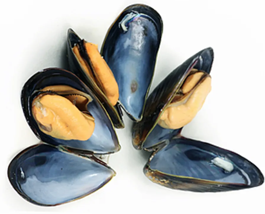 PEI Mussels LIVE