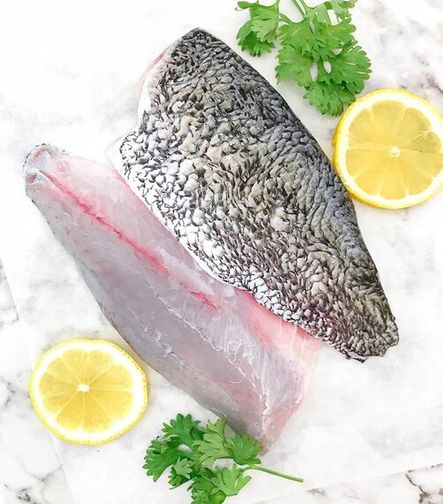 Fresh Barramundi