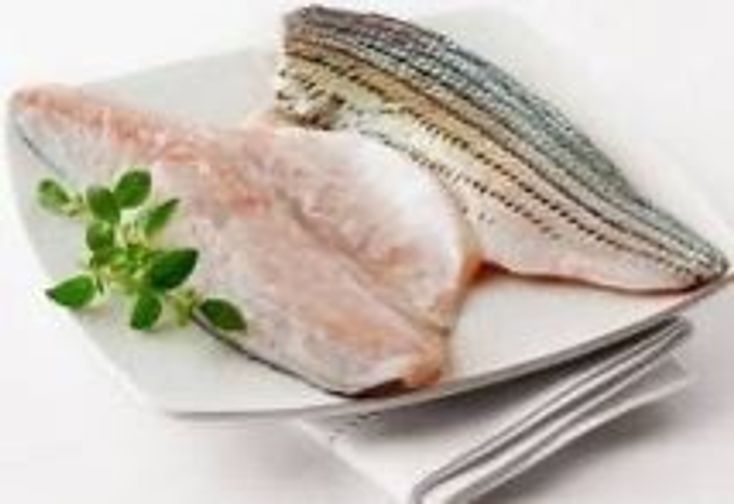 Fresh Striped Bass