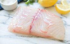 Fresh Wild California Halibut