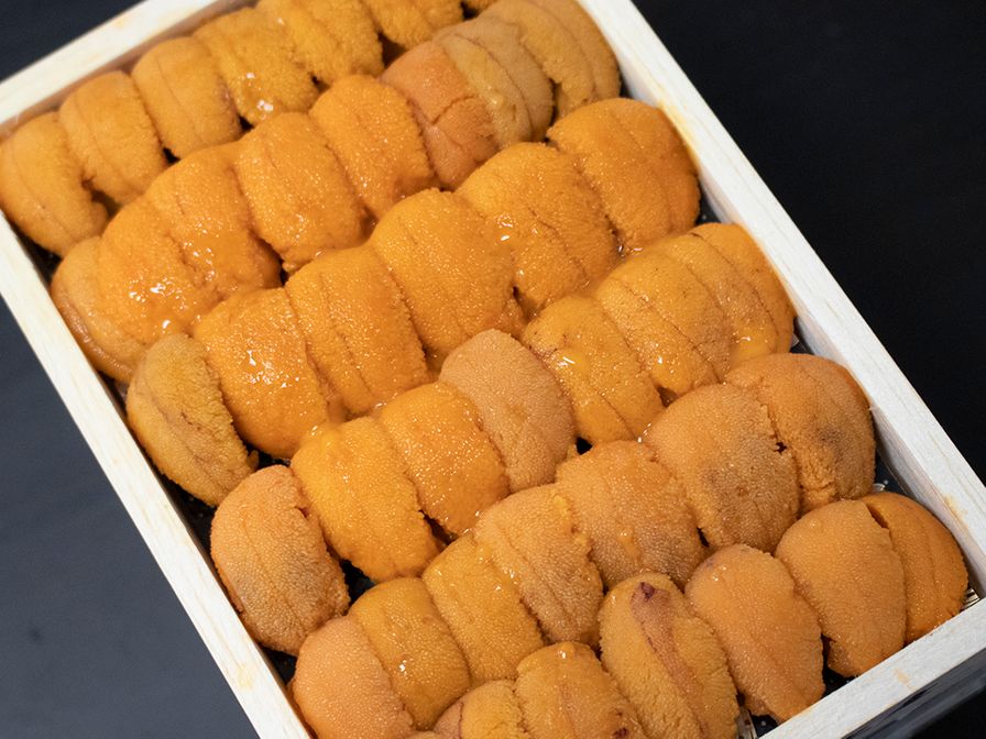 UNI - SEA URCHIN JP SP CHUBAKO