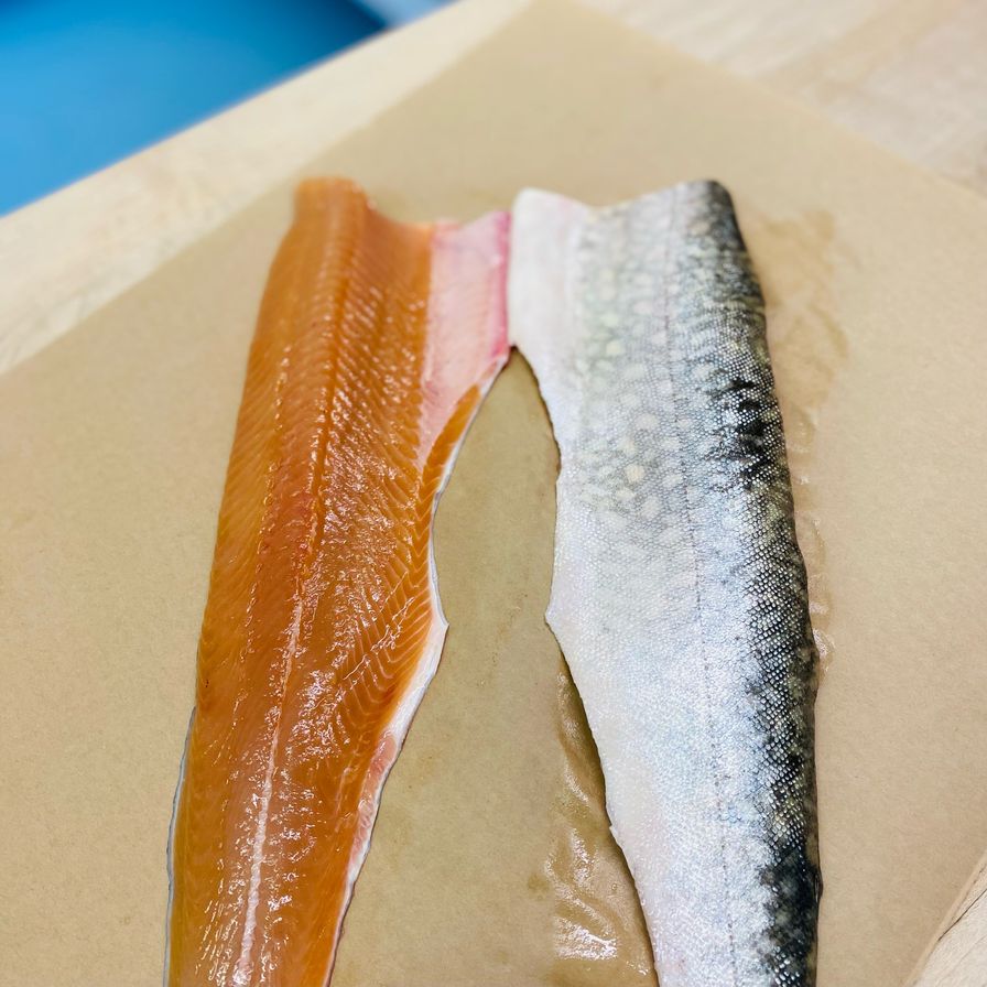 Wild Lake Huron Trout Fillets