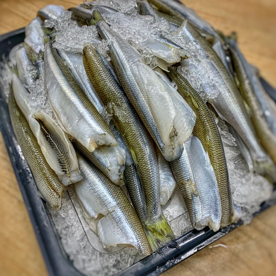 Atlantic Ocean Smelts Dressed