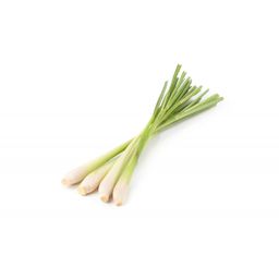 Lemon Grass