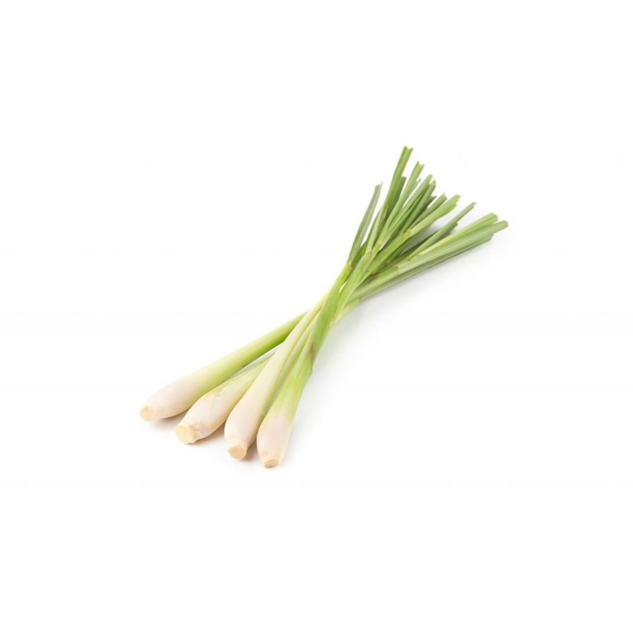 Lemon Grass