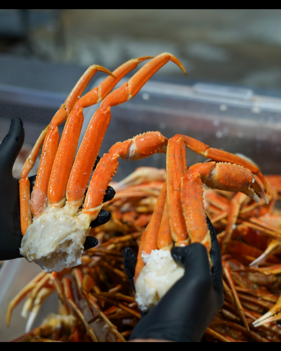 Snow Crab