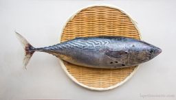 Katsuo - Skipjack Tuna