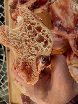 Ostrich bones *clearance sale*