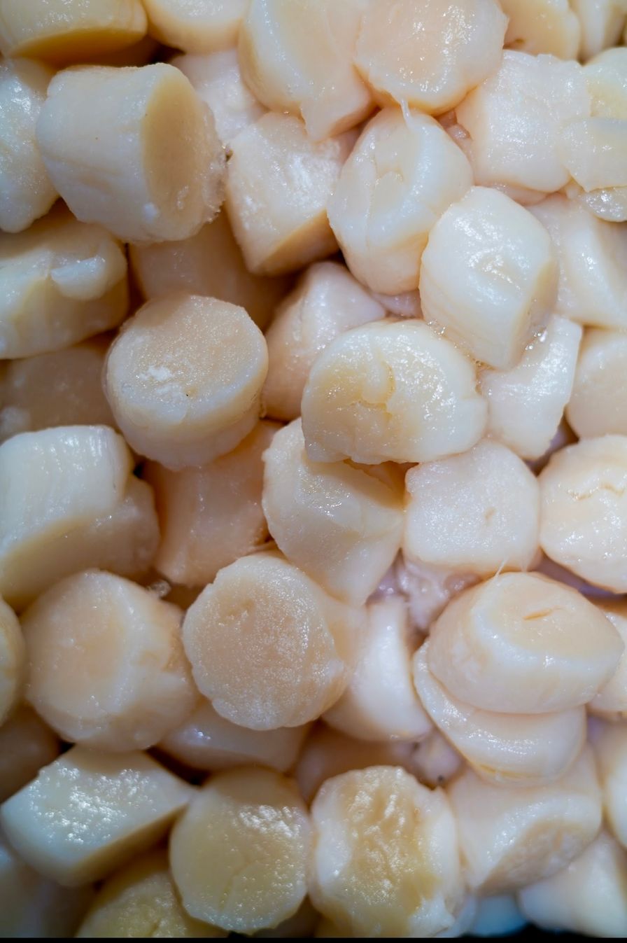 Bay Scallops