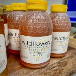 Wildflowers Honey ORIGINAL - 454g - Squeezy Bottle 