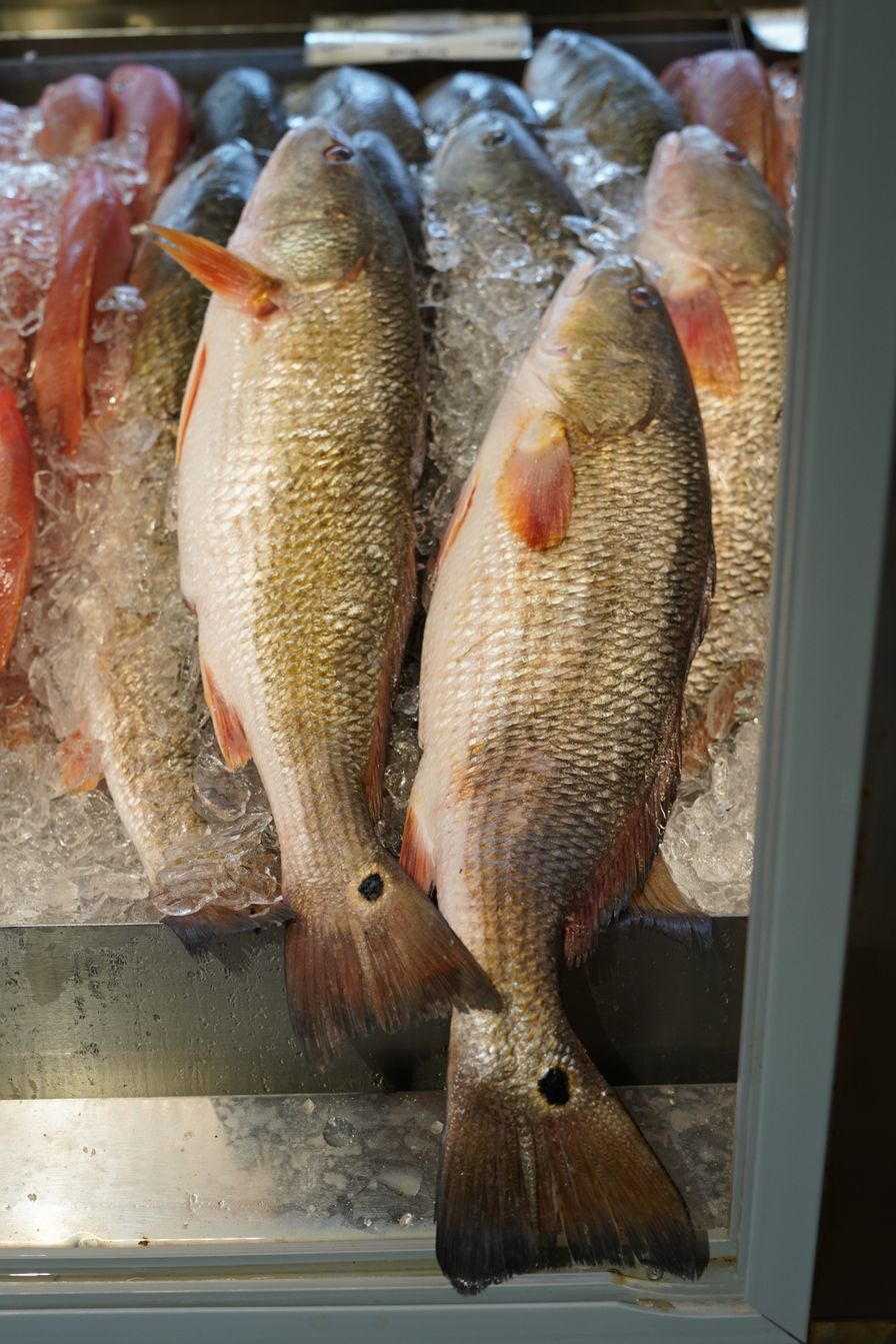 Red Fish