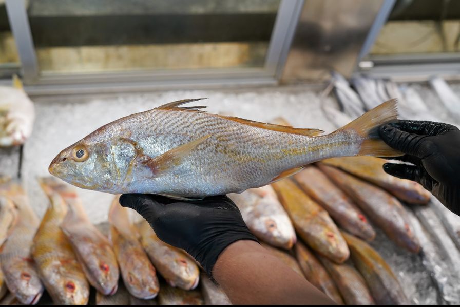 Croaker (Whole)