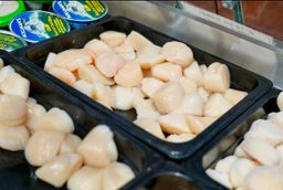 Sea Scallops
