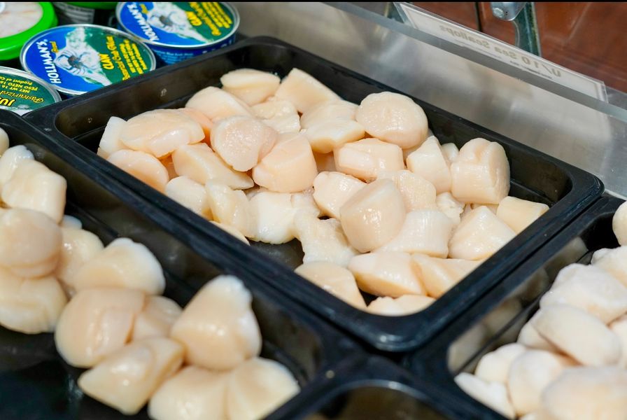 Sea Scallops