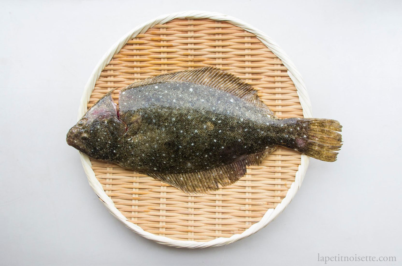 Daily Seafood  Hirame - Olive Flounder