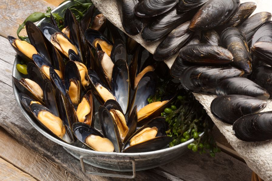 Mussels - Organic Newfoundland (2 lbs)