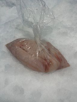 Sole PACIFIC DOVER FILLETS SKIN OFF OCEANWISE Fresh