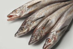 Wild Whole Whiting