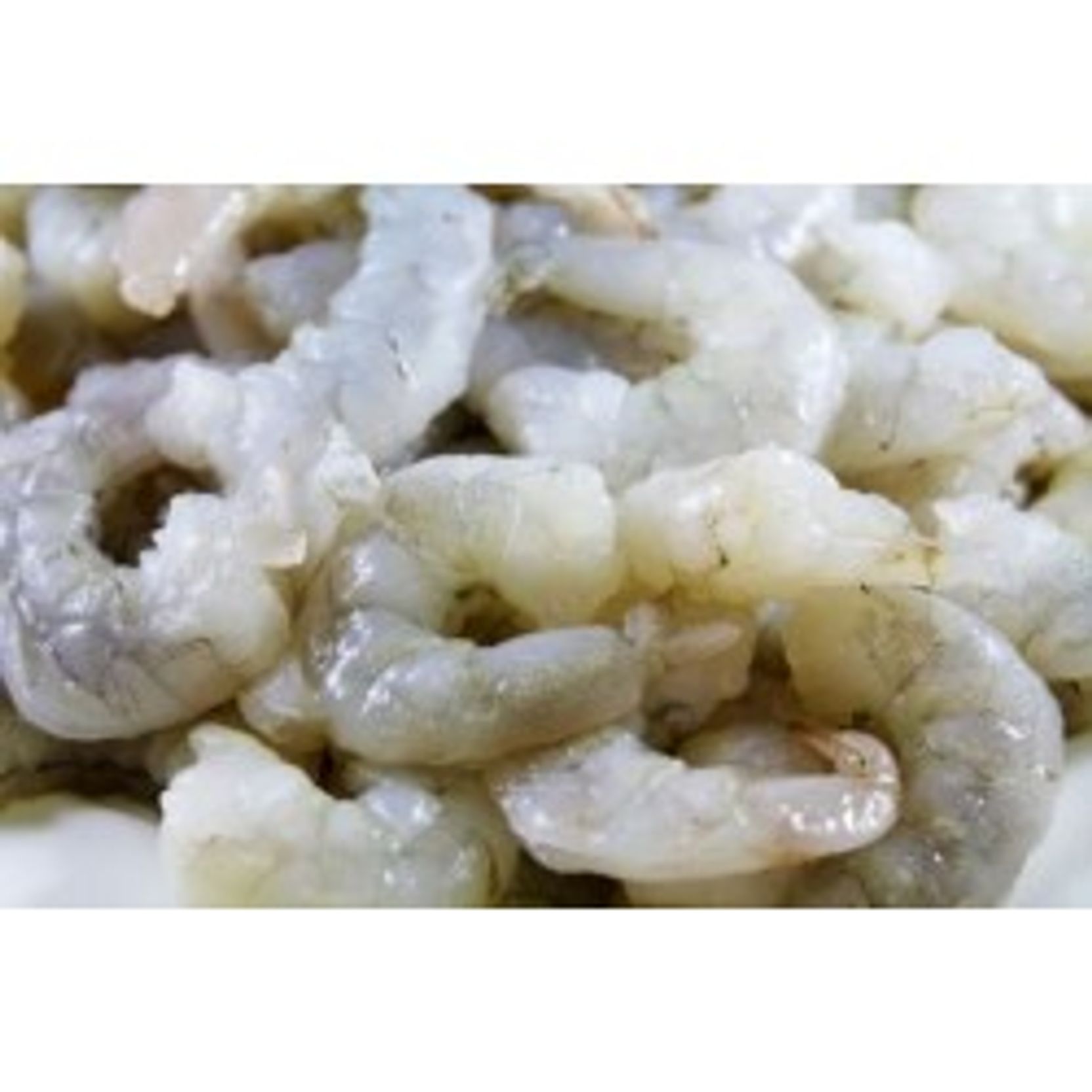 DOA FSH4-3P312 Shrimp 12oz. Near Clear