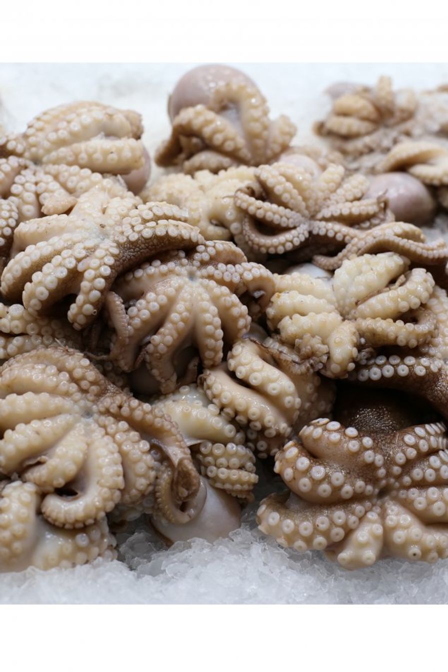 Whole cleaned baby octopus