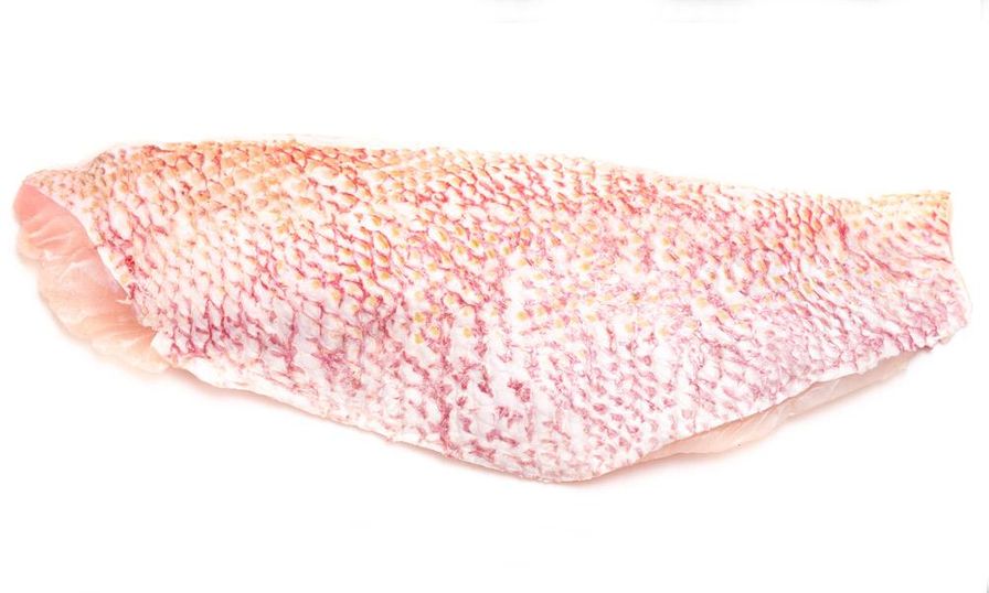 Fresh American Red Snapper