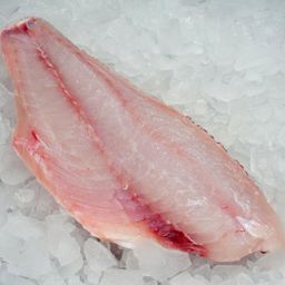 Snapper - Red  Frozen Fillet 4-6 oz (Pack of 2 Pcs)