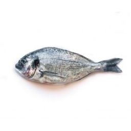 Sea Bream (Orata) - Whole 400-600 gm