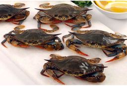 Soft Shell Crabs (Half Dozen)