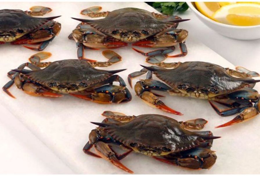 One Ocean Seafood Soft Shell Crabs Half Dozen 9076