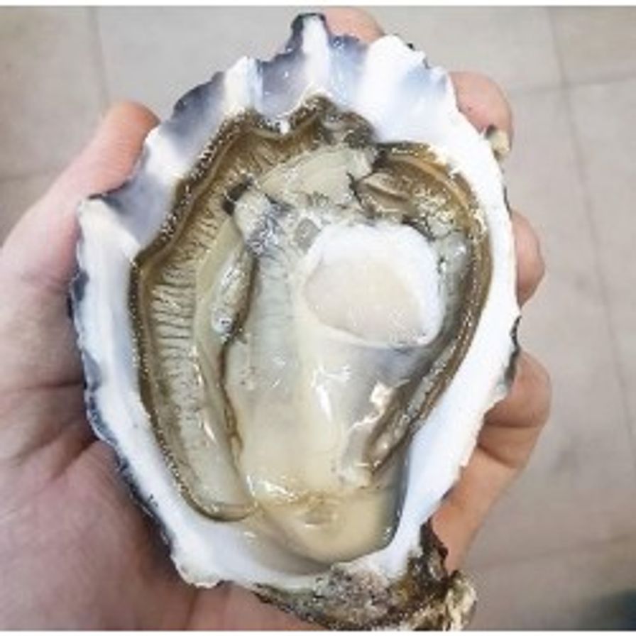 Oysters - B.C. Fanny Bay Large (6 Pcs)