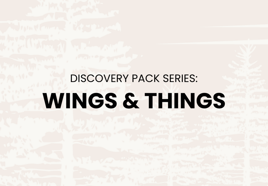Discovery Pack: Wings and Things