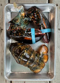 Lobster Tail & Claws