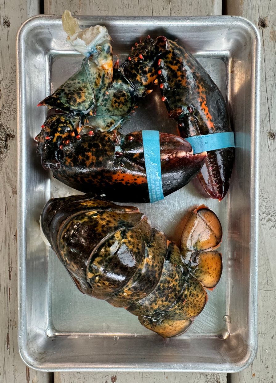 Lobster Tail & Claws