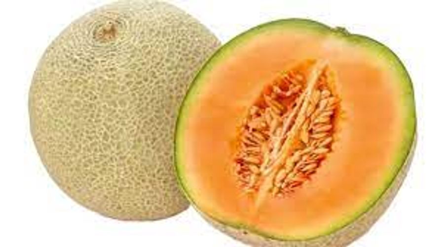 Cantaloupe
