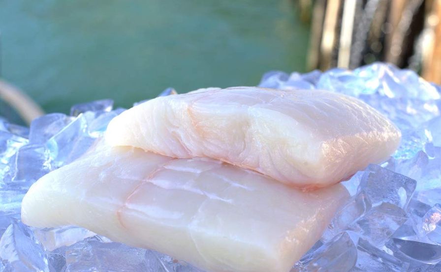 Halibut Fillets