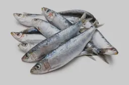 Wild Whole Frozen Sardines