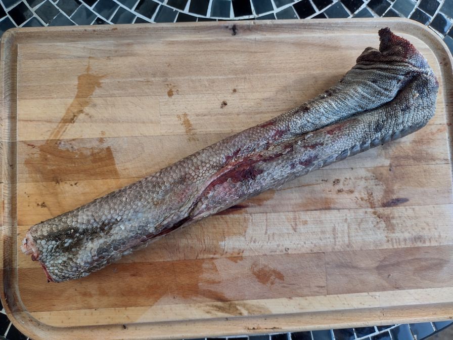 Ostrich lower leg 