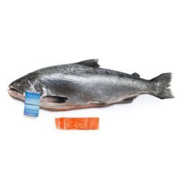 Salmon - NZ Premium ORA KING Whole (6-10lbs)